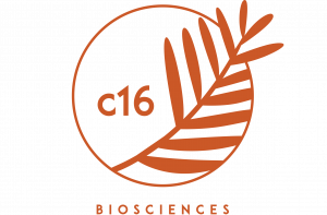 c16